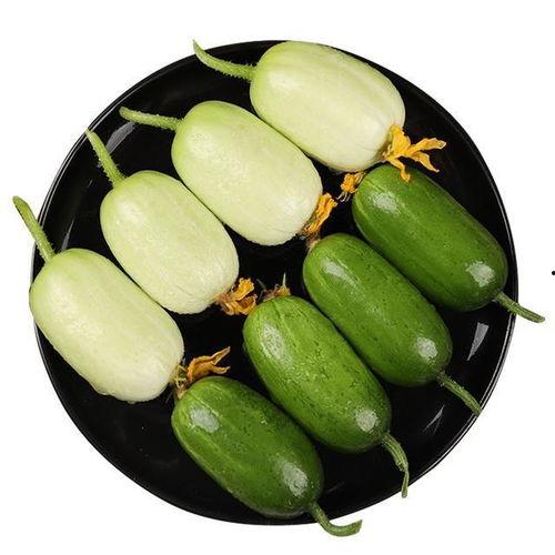 瓜哥吃瓜回文怎么写好看,回文趣味横生，揭秘网络流行语背后的魅力